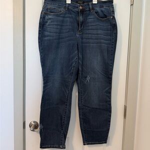 Like new! Judy Blue Everyday Essential Relaxed Fit Jeans, size 18w 26.5” inseam